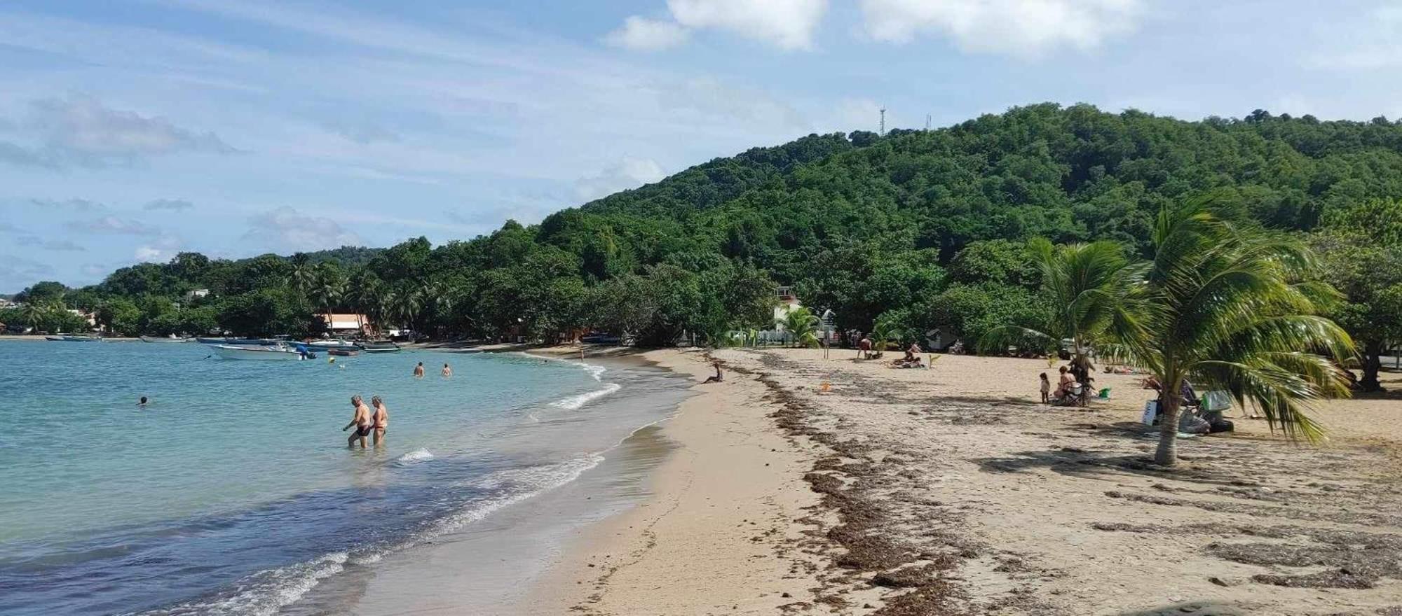 Studio Entre Terre Et Mer, Tartane, Martinique ลา ทรินิเต ภายนอก รูปภาพ